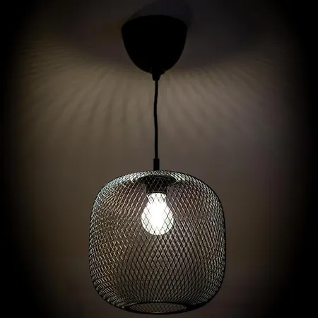 Ceylan Bel F2 A 鲁昂