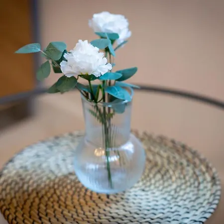 Ceylan Bel F2 A 公寓